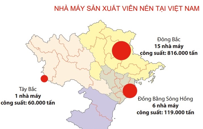 Sản xuất và xuất khẩu viên nén tại Việt Nam